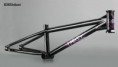 KHE Paris III Frame
